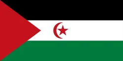Vlag van Westelijke Sahara