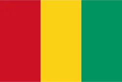Vlag van Guinee