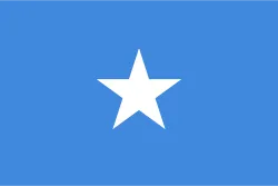 Vlag van Somalië