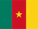 Vlag van Kameroen