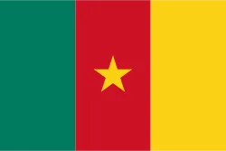 Vlag van Kameroen