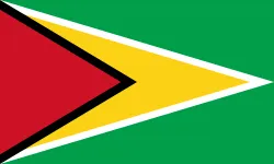 Vlag van Guyana