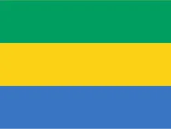 Vlag van Gabon