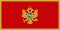 Vlag van Montenegro