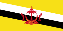 Vlag van Brunei Darussalam