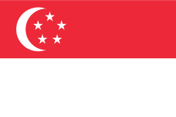 Vlag van Singapore